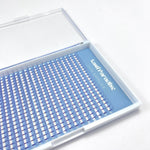 5D colour Lashes Purple