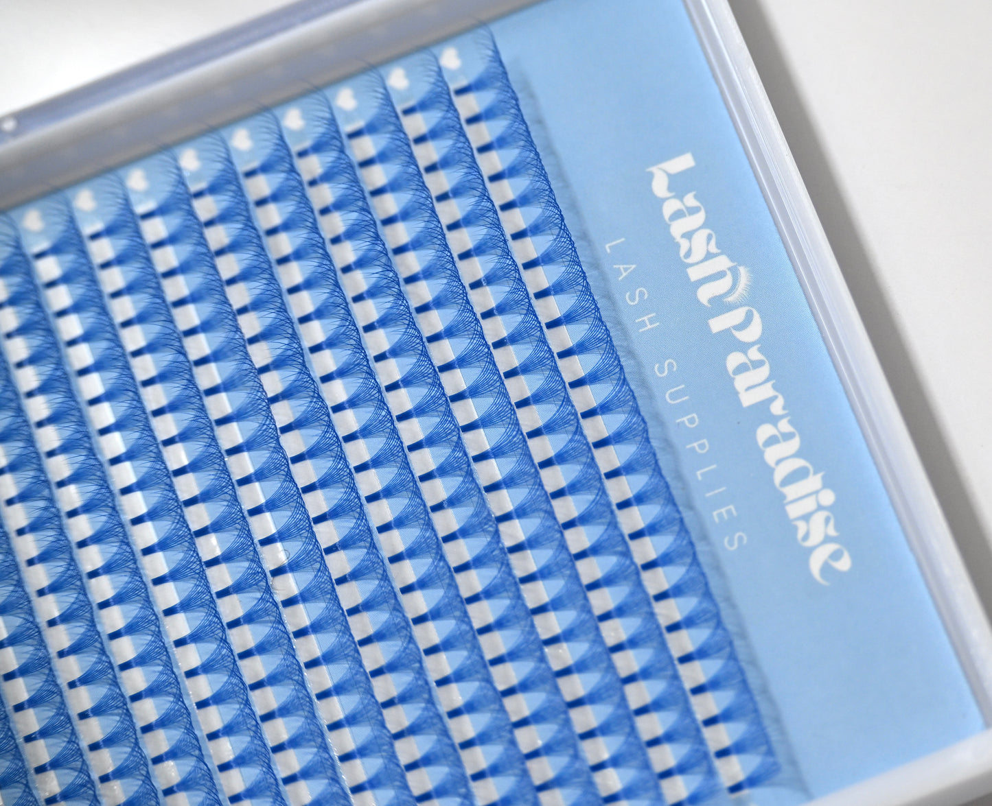 10D Colour Lashes - Short Stem D Curl